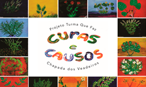 Cartilha Curas e Causos